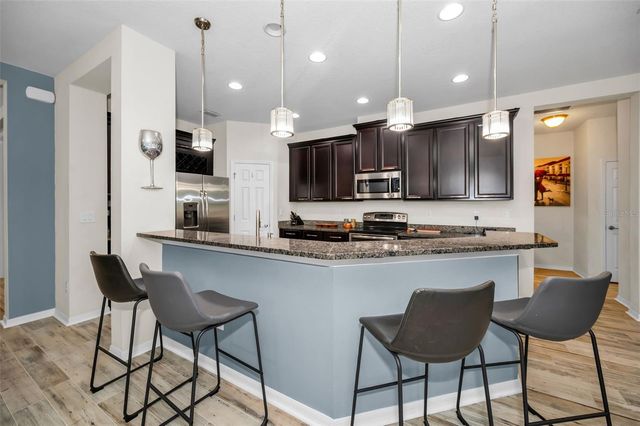 6942 ROCKY CANYON WAY, Tampa, FL 33625