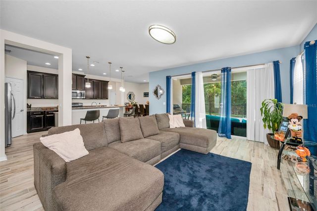 6942 ROCKY CANYON WAY, Tampa, FL 33625