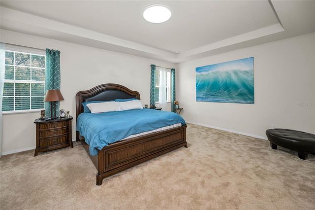 6942 ROCKY CANYON WAY, Tampa, FL 33625