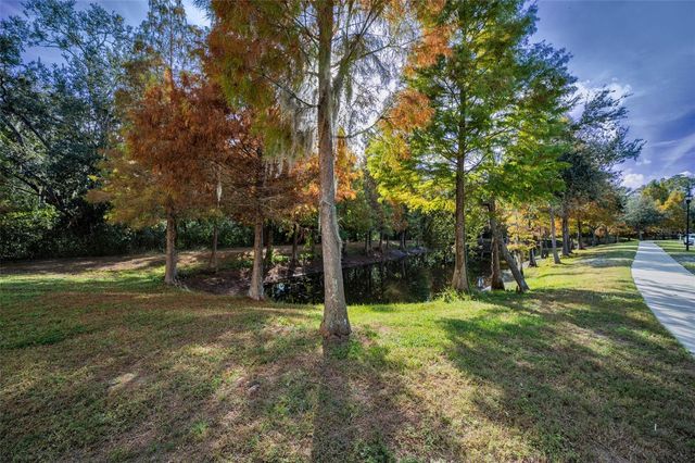 6942 ROCKY CANYON WAY, Tampa, FL 33625