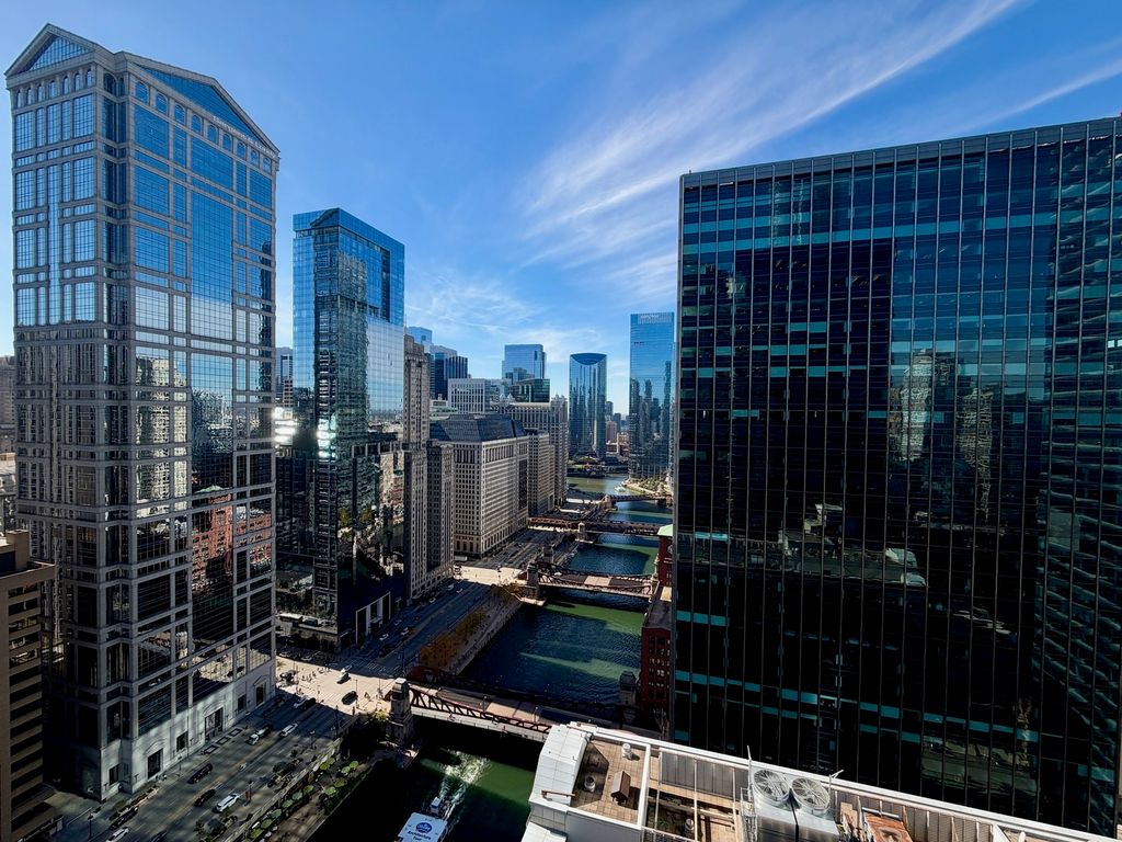 300 N State Street 3903, Chicago, IL 60654 — photo 3