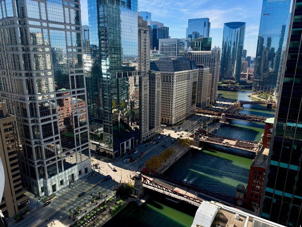 300 N State Street 3903, Chicago, IL 60654 — photo 4