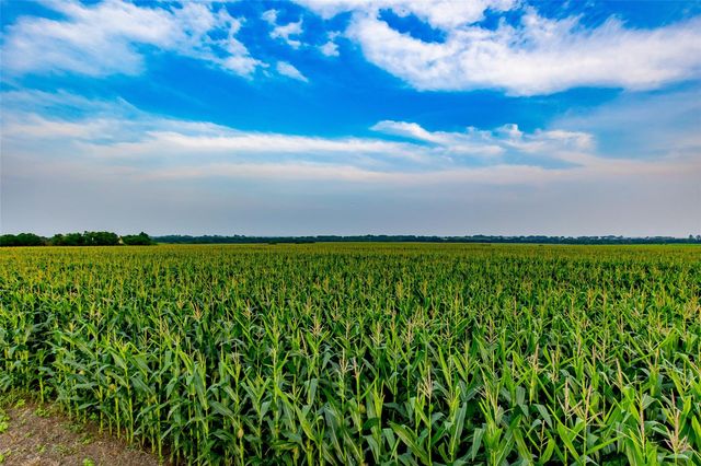 TBD County Road 445 Tract 1, Taylor, TX 76574