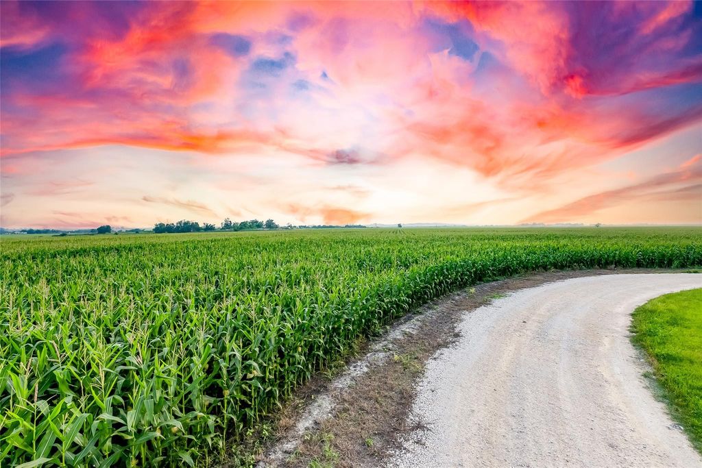 TBD County Road 445 Tract 1, Taylor, TX 76574