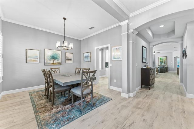 14680 CANOPY DRIVE, Tampa, FL 33626