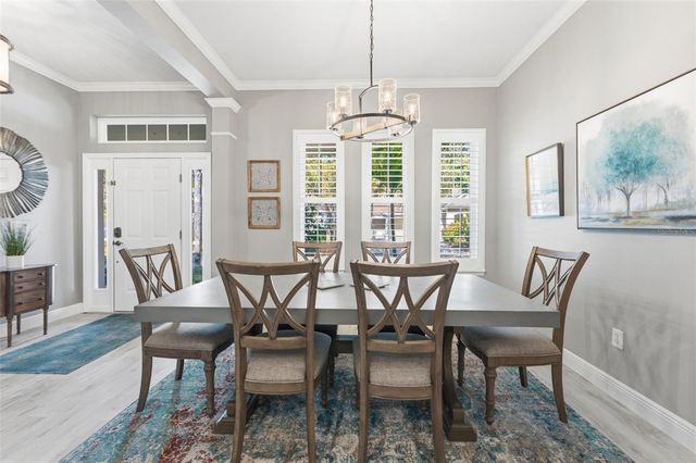 14680 CANOPY DRIVE, Tampa, FL 33626