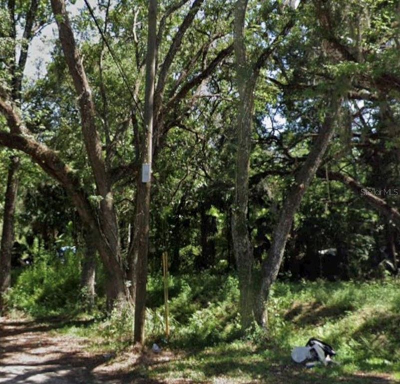 TBD TWIGG STREET, Brooksville, FL 34601