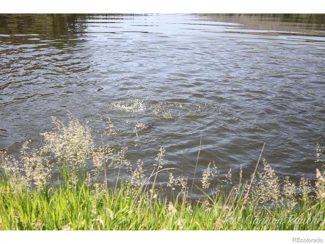 14884 Rist Canyon Road, Bellvue, CO 80512