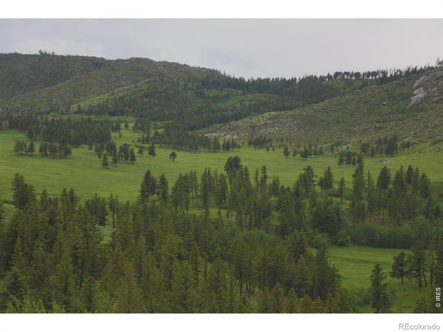 14884 Rist Canyon Road, Bellvue, CO 80512