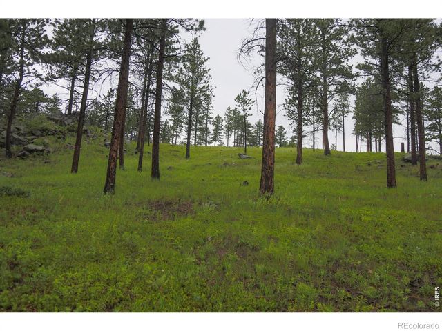 14884 Rist Canyon Road, Bellvue, CO 80512