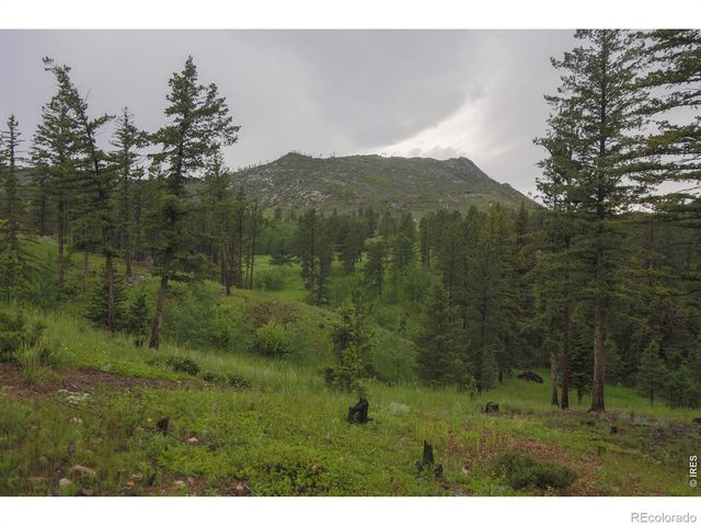 14884 Rist Canyon Road, Bellvue, CO 80512