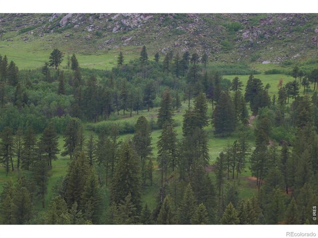 14884 Rist Canyon Road, Bellvue, CO 80512