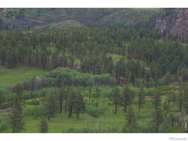 14884 Rist Canyon Road, Bellvue, CO 80512