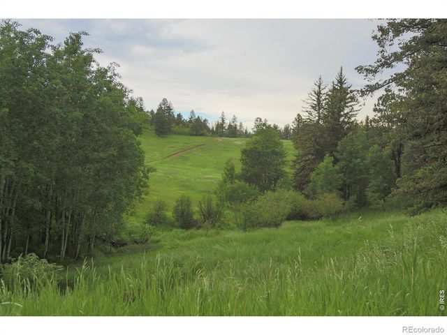 14884 Rist Canyon Road, Bellvue, CO 80512