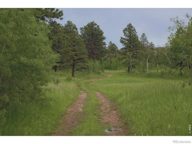 14884 Rist Canyon Road, Bellvue, CO 80512