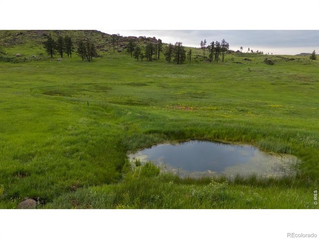 14884 Rist Canyon Road, Bellvue, CO 80512