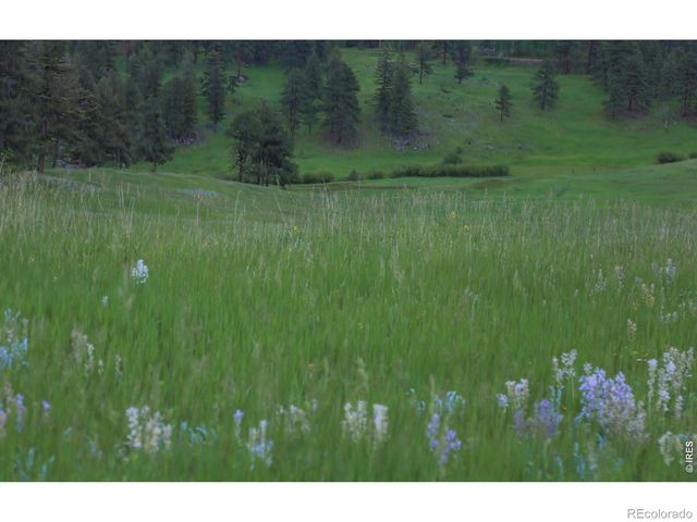 14884 Rist Canyon Road, Bellvue, CO 80512