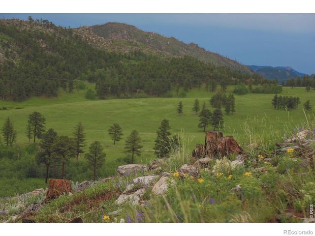 14884 Rist Canyon Road, Bellvue, CO 80512