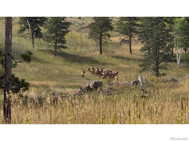 14884 Rist Canyon Road, Bellvue, CO 80512