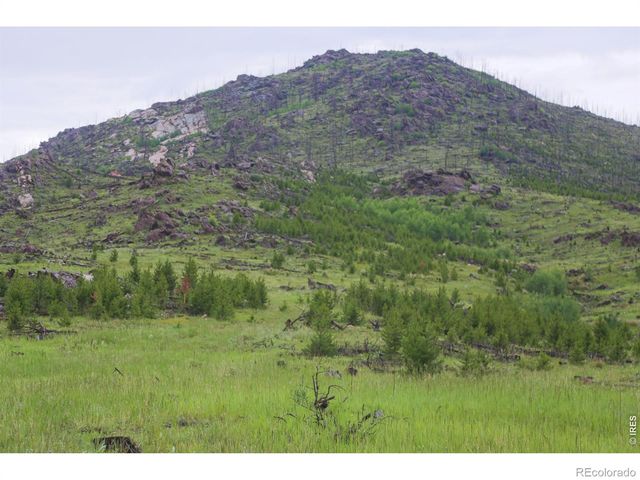 14884 Rist Canyon Road, Bellvue, CO 80512
