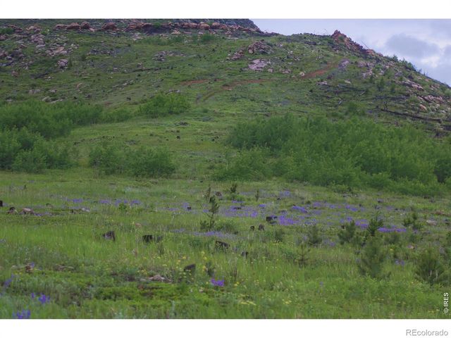 14884 Rist Canyon Road, Bellvue, CO 80512