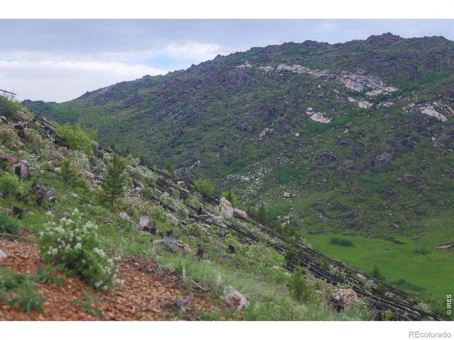 14884 Rist Canyon Road, Bellvue, CO 80512