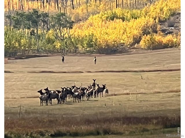 14884 Rist Canyon Road, Bellvue, CO 80512