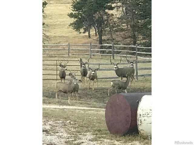 14884 Rist Canyon Road, Bellvue, CO 80512