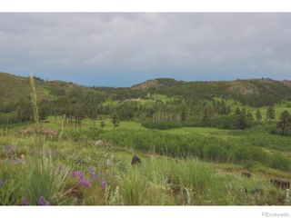 14884 Rist Canyon Road, Bellvue, CO 80512