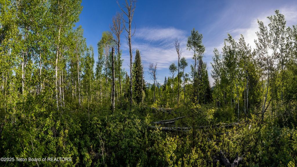 375 S INDIAN SPRINGS RANCH Drive, Jackson, WY 83001 photo 11