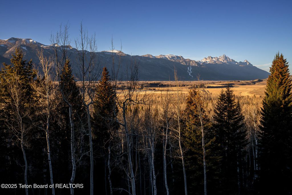 375 S INDIAN SPRINGS RANCH Drive, Jackson, WY 83001 photo 18