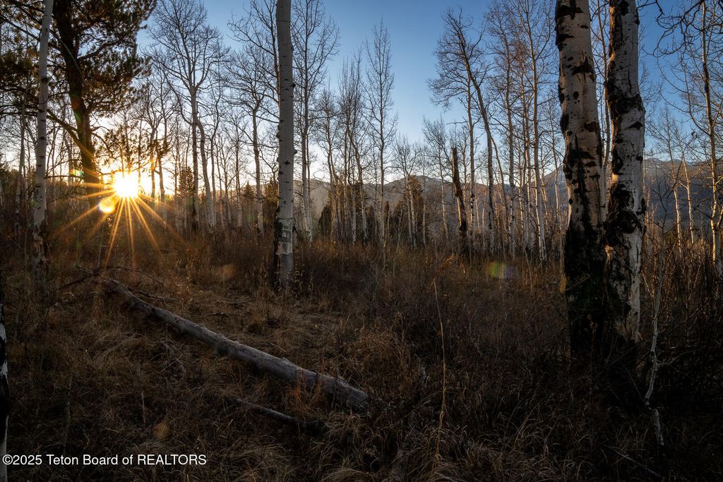 375 S INDIAN SPRINGS RANCH Drive, Jackson, WY 83001 photo 21