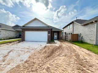 10950 Tawny Ridge Drive, Beasley, TX 77417