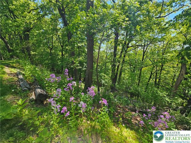 1200 Paxinosa Road East, Forks Twp, PA 18040