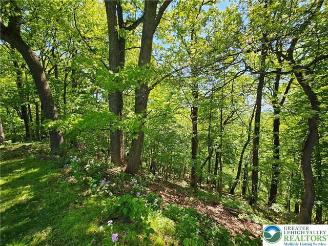 1200 Paxinosa Road East, Forks Twp, PA 18040