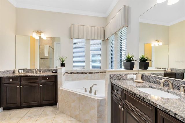 1004 CASTLE PINES COURT, Reunion, FL 34747