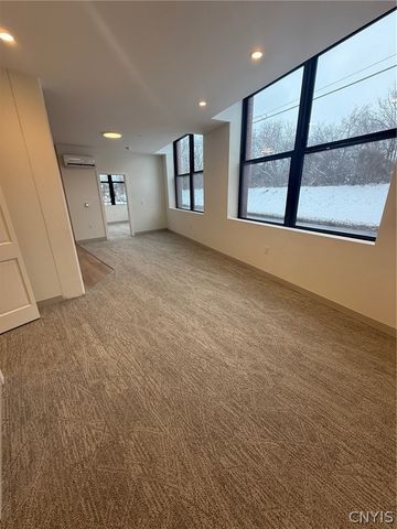 1117 West Fayette Street 102, Syracuse, NY 13204