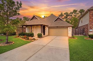 9726 Birdsnest Court, Spring, TX 77379