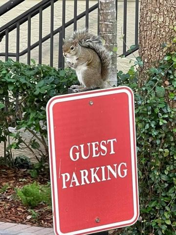 2633 NE 14th Avenue 111, Wilton Manors, FL 33334