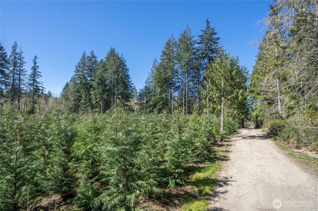 103 Andrejs Road, Shelton, WA 98584