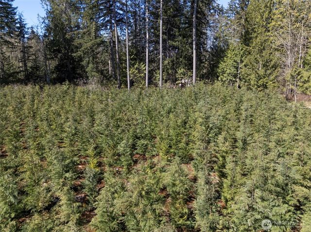 103 Andrejs Road, Shelton, WA 98584