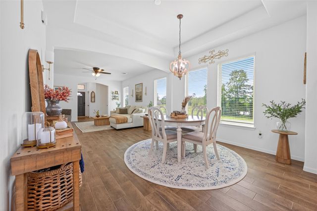 24720 Windward Birch Way, Houston, TX 77336