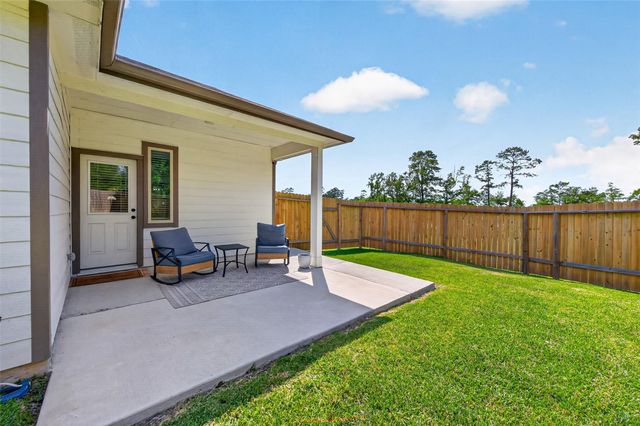 24720 Windward Birch Way, Houston, TX 77336