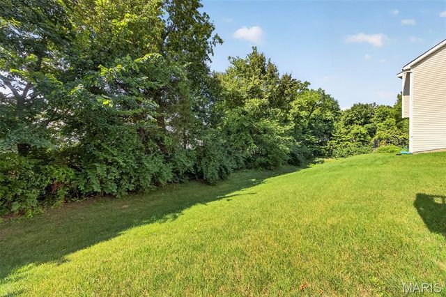 316 Chestnut Creek Circle, O'fallon, MO 63368
