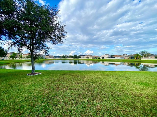 10812 ANCIENT FUTURES DRIVE, Tampa, FL 33647