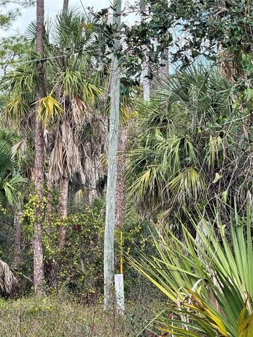 17344 ORION AVENUE, Port Charlotte, FL 33954