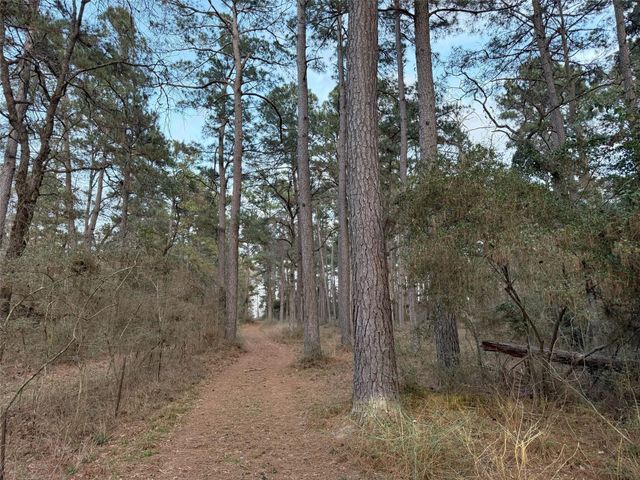 5772 Pr 2065, Centerville, TX 75833