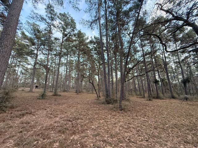 5772 Pr 2065, Centerville, TX 75833