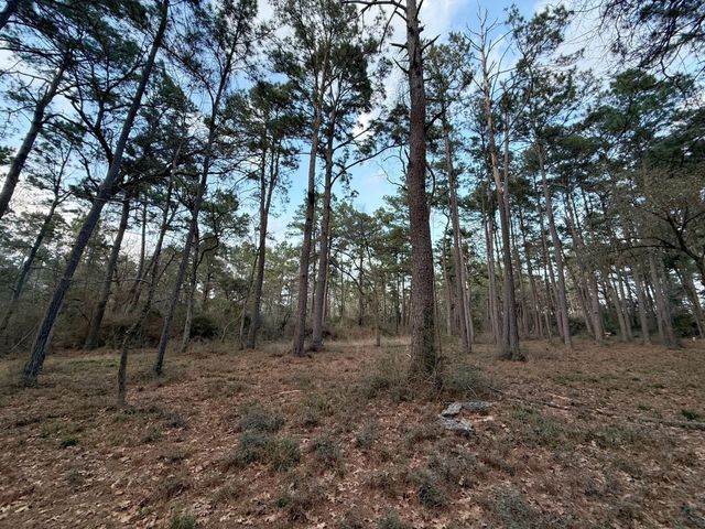 5772 Pr 2065, Centerville, TX 75833