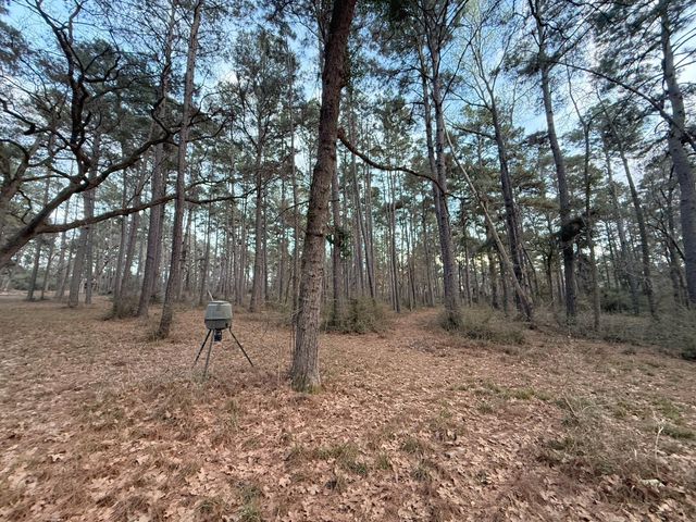 5772 Pr 2065, Centerville, TX 75833